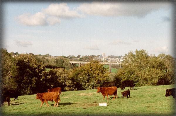 Photograph Album - Little Gormellick Farm - photograph by High View